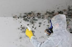 Best Water Damage & Mold Remediation  in Flordell Hills, MO